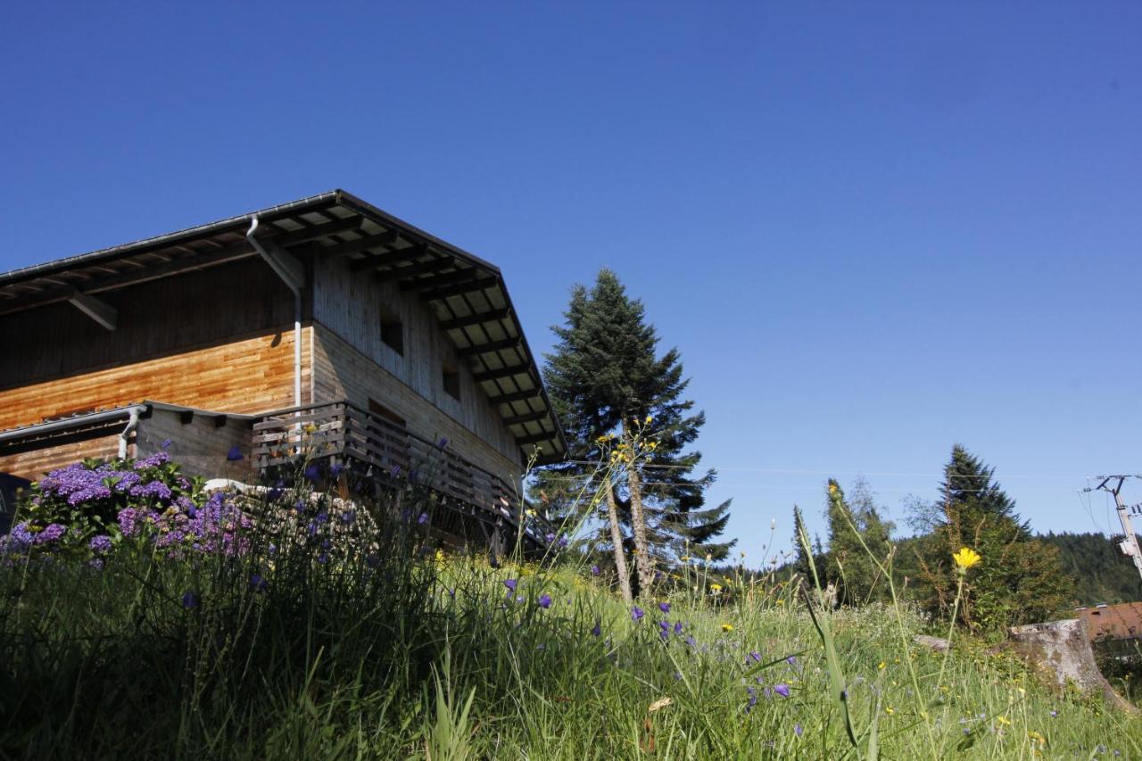 Le Chalet De Valentine Bed & Breakfast Ventron Bagian luar foto