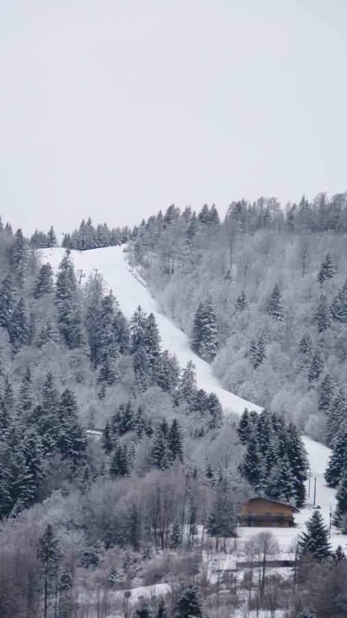Le Chalet De Valentine Bed & Breakfast Ventron Bagian luar foto